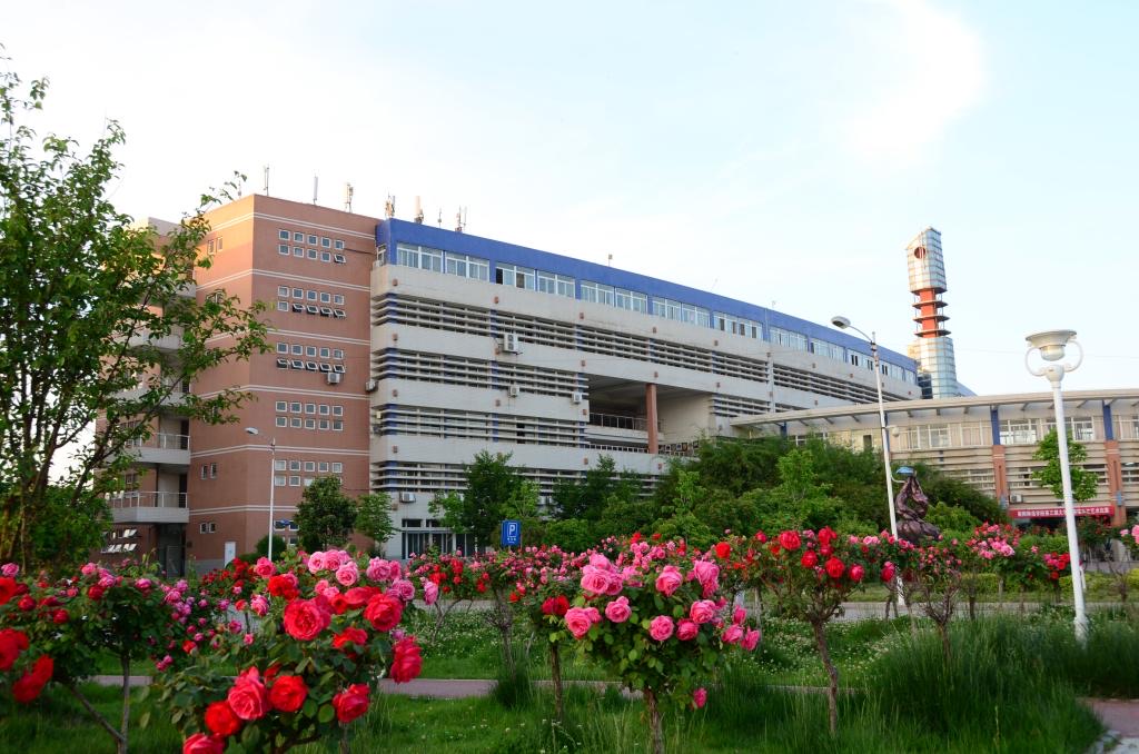 南阳师范学院校园月季与教学楼